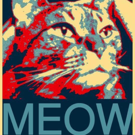 Limberbutt McCubbins Photo