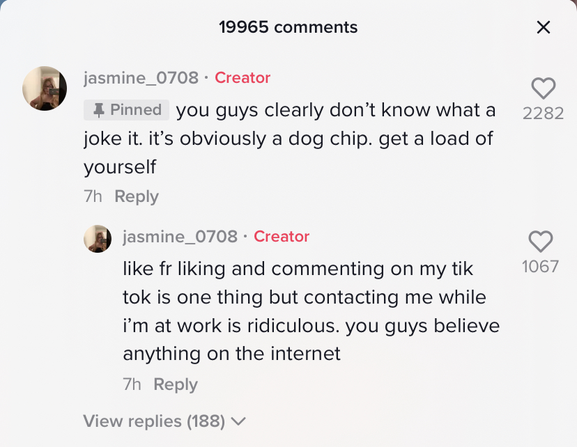 TiKTok comment screengrab