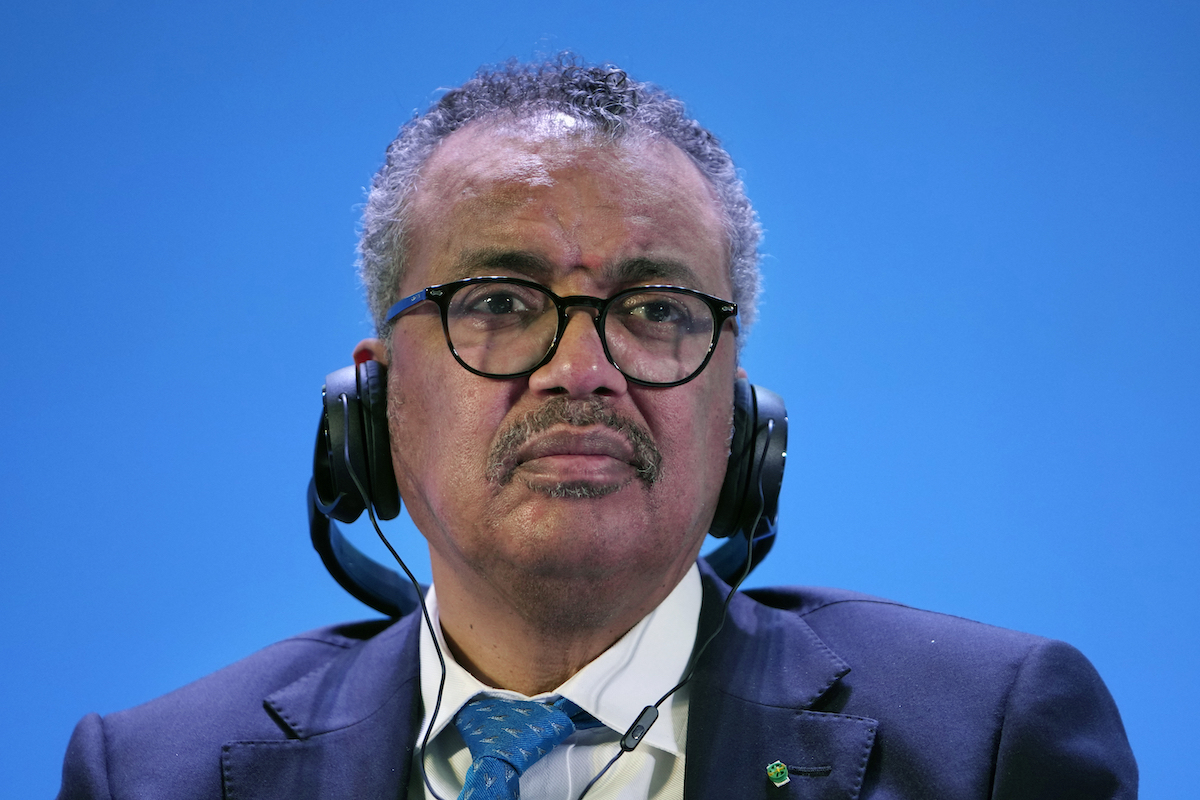 Director general de la OMS 08/17/24