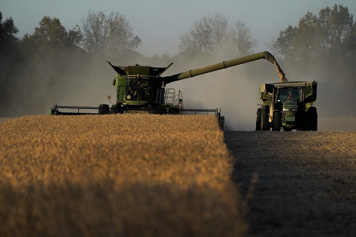 Photo of truck harvesting soybeans 11-8-23