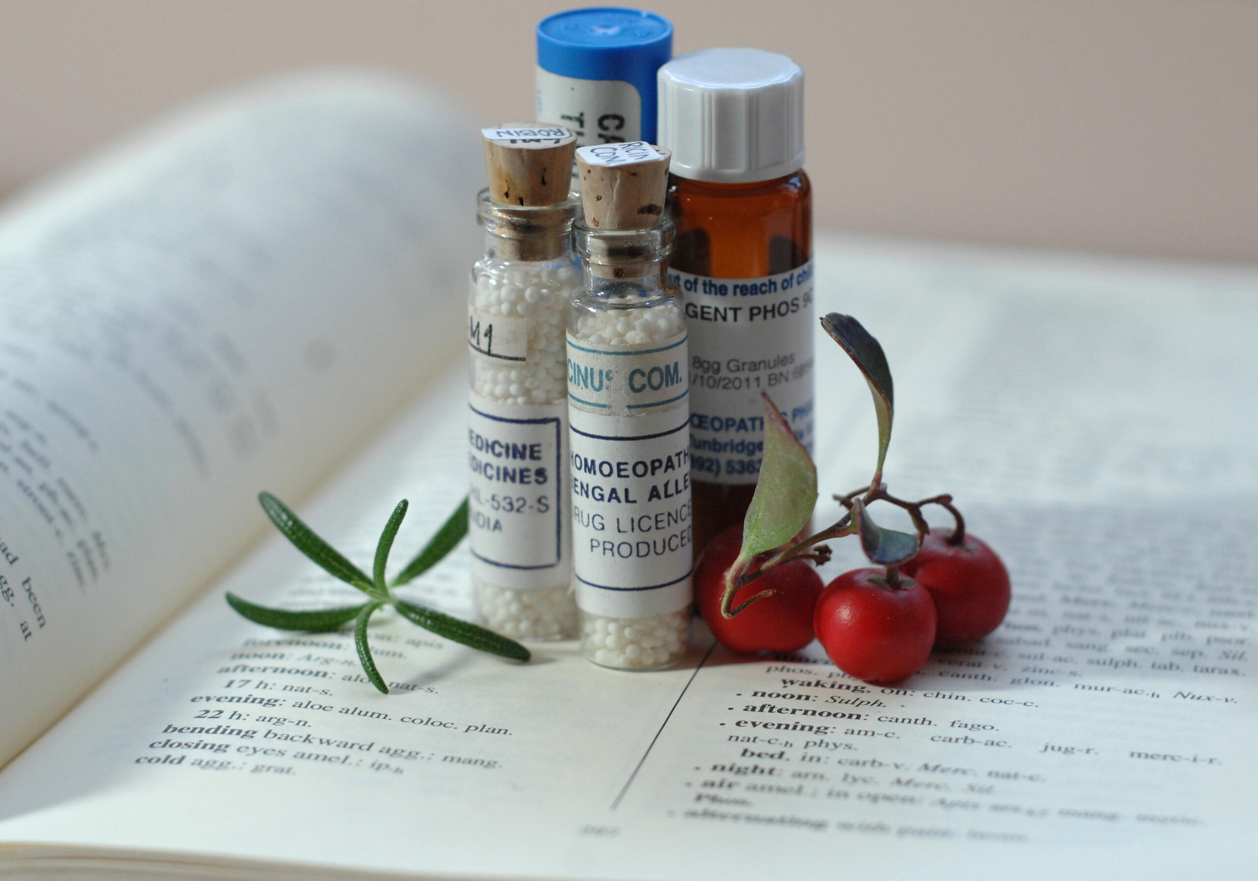 Homeopathic Remedies