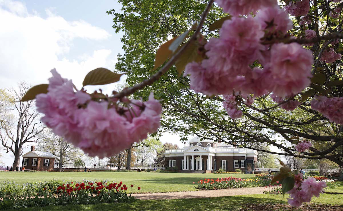 Jefferson Monticello art