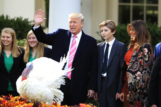 Trump turkey pardon pic