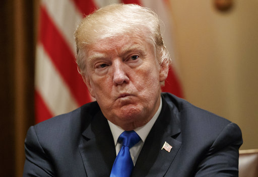 Trump gun white house pic