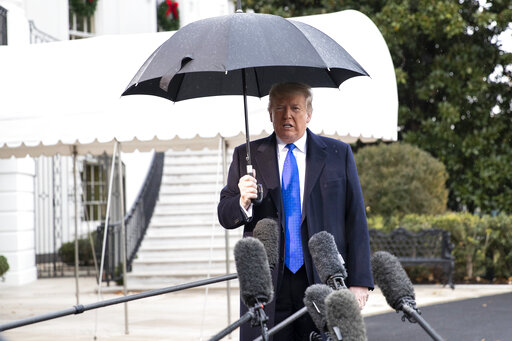 trump umbrella