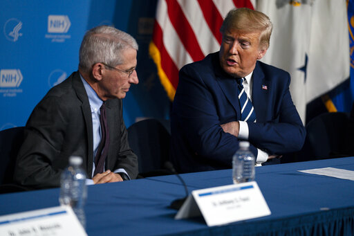 Trump coronavirus art