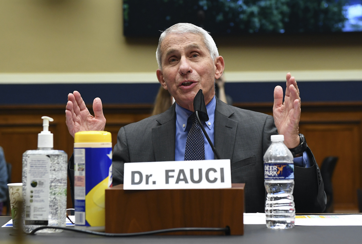 Fauci House committee with sanitizer and wipes