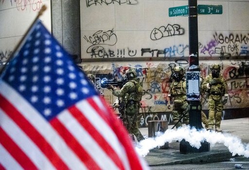 Portland protests art 3