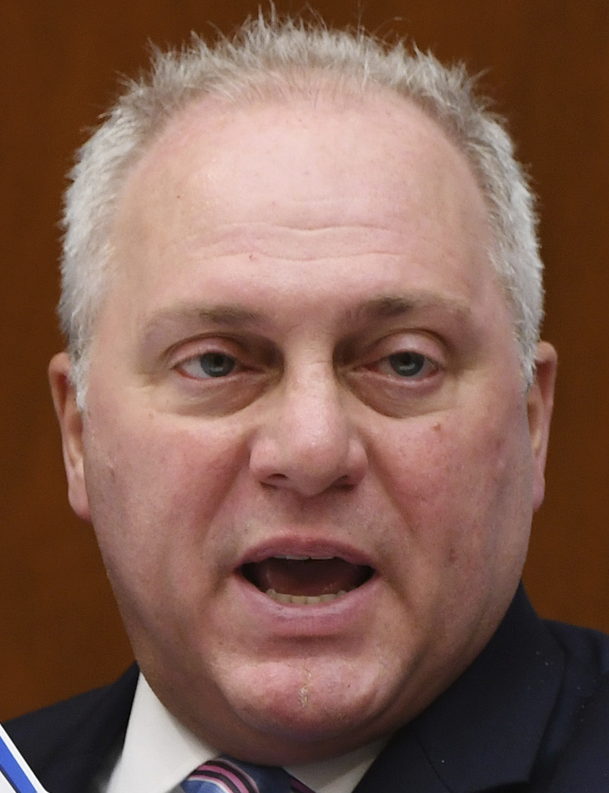 Steve Scalise Photo
