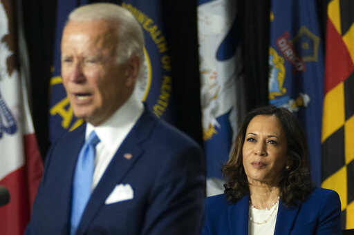 Biden Harris art (Pirro story 2)