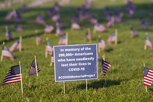 COVID Memorial Project coronavirus deaths art