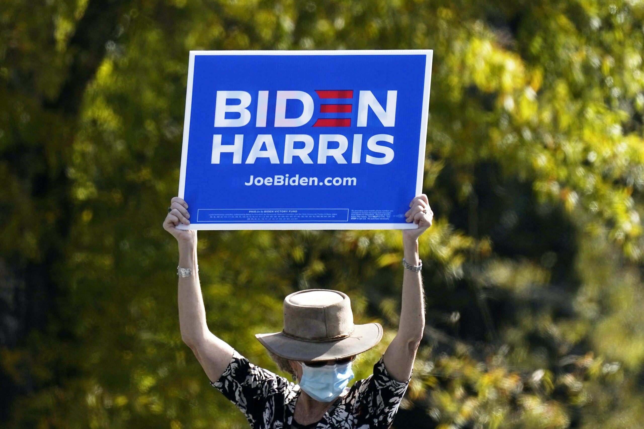 Biden-Harris campaign sign
