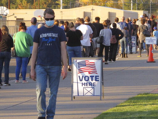 Nevada voter