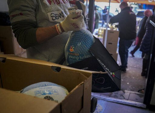 Thanksgiving Turkey food bank art