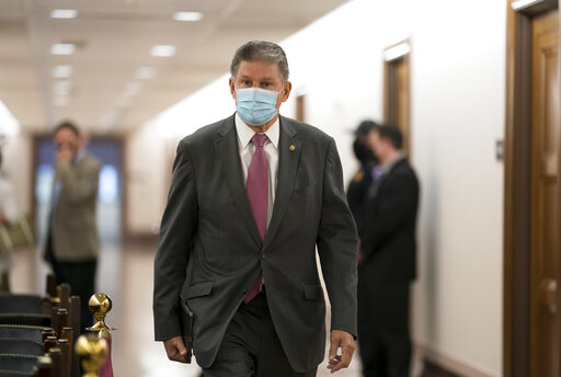 Manchin with mask