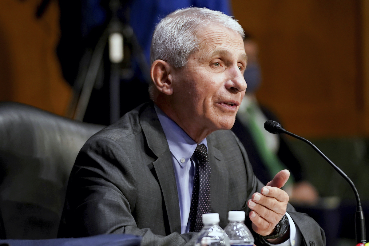 Fauci testifying