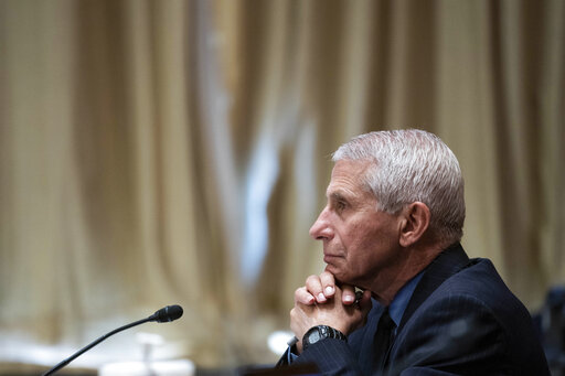 Fauci at hearing