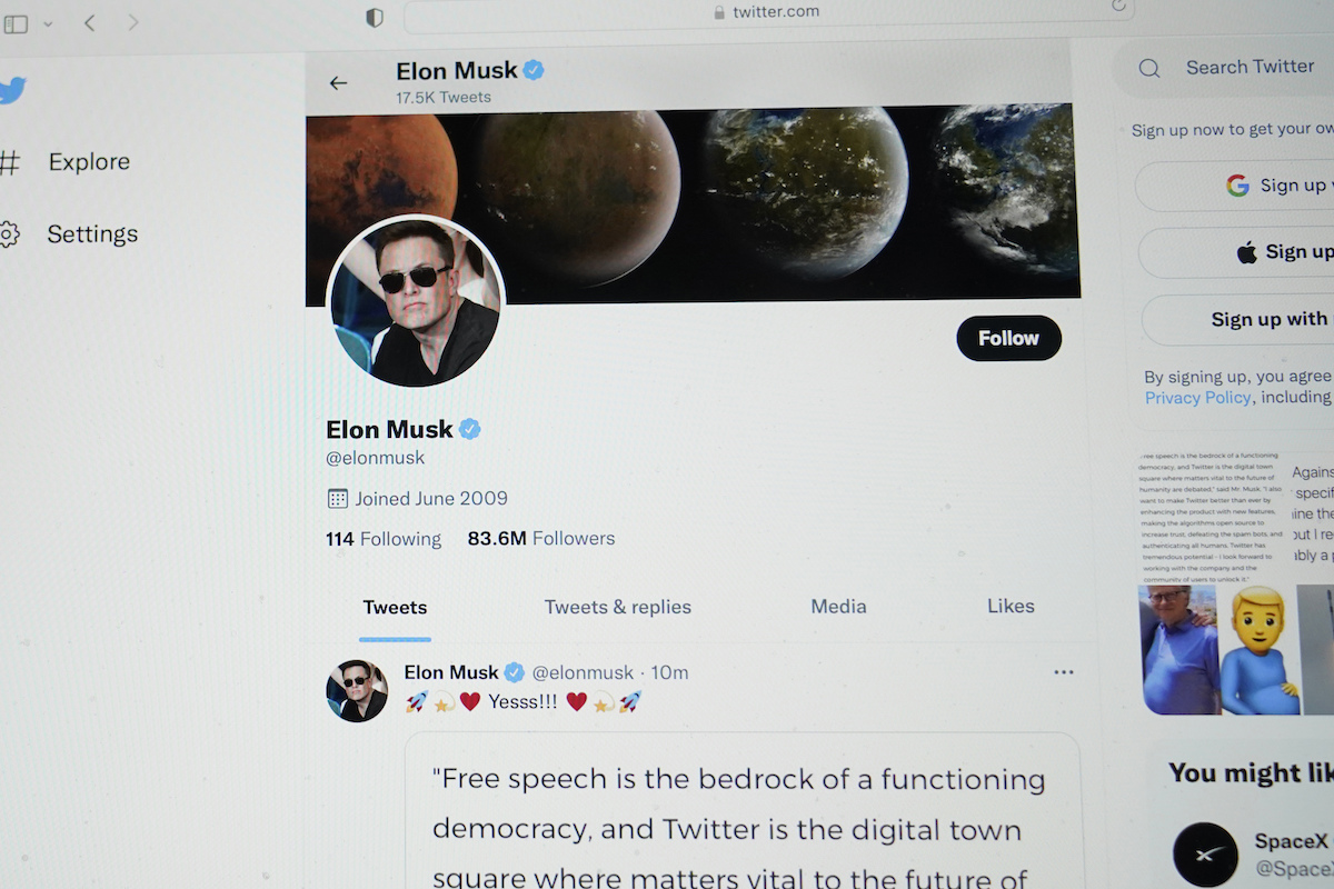 Elon Musk Twitter screenshot