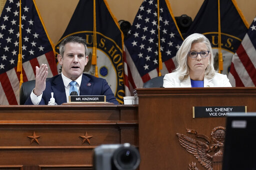 Kinzinger and Cheney July 21