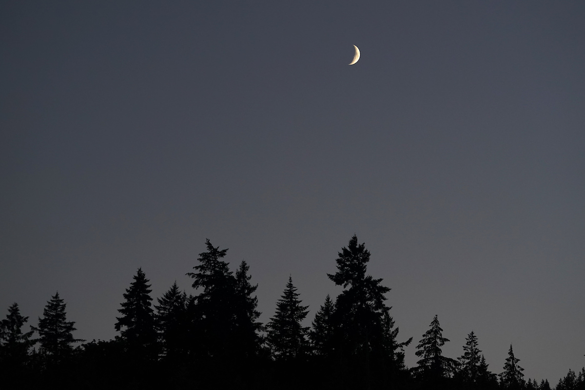 moon in seattle washington sky