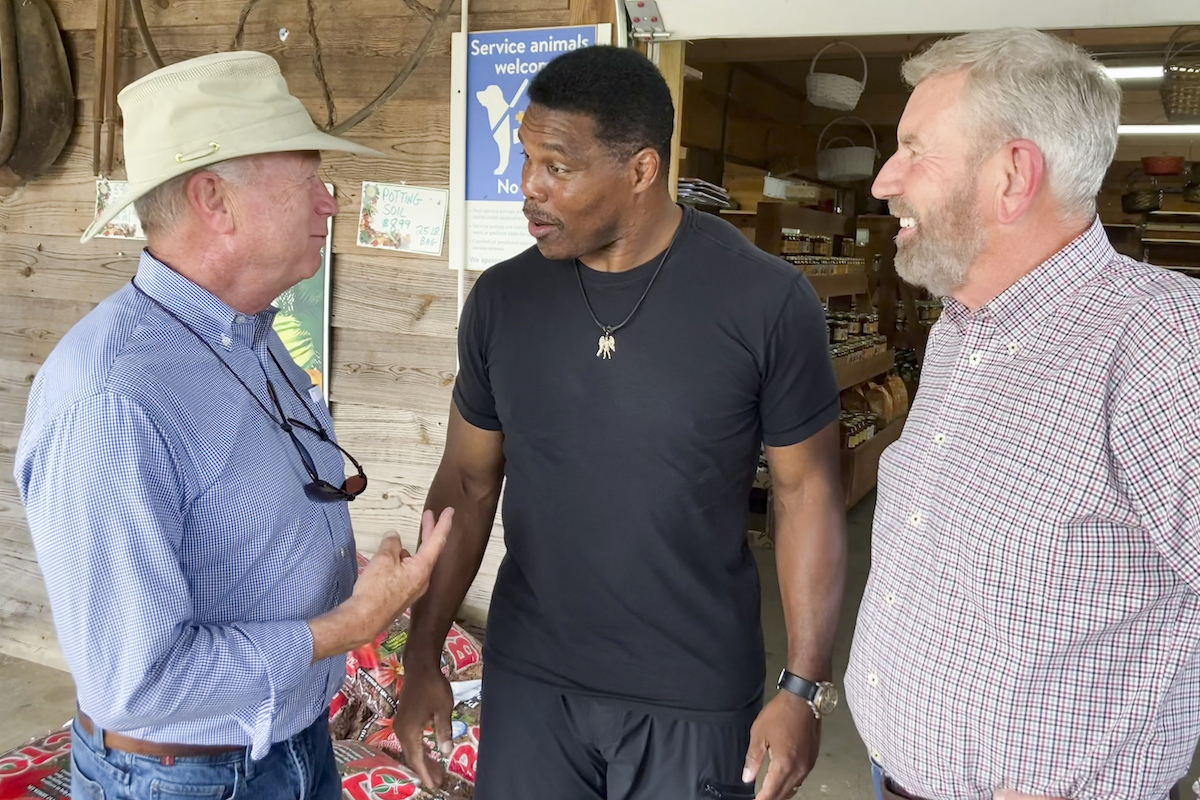 Herschel Walker campaigning