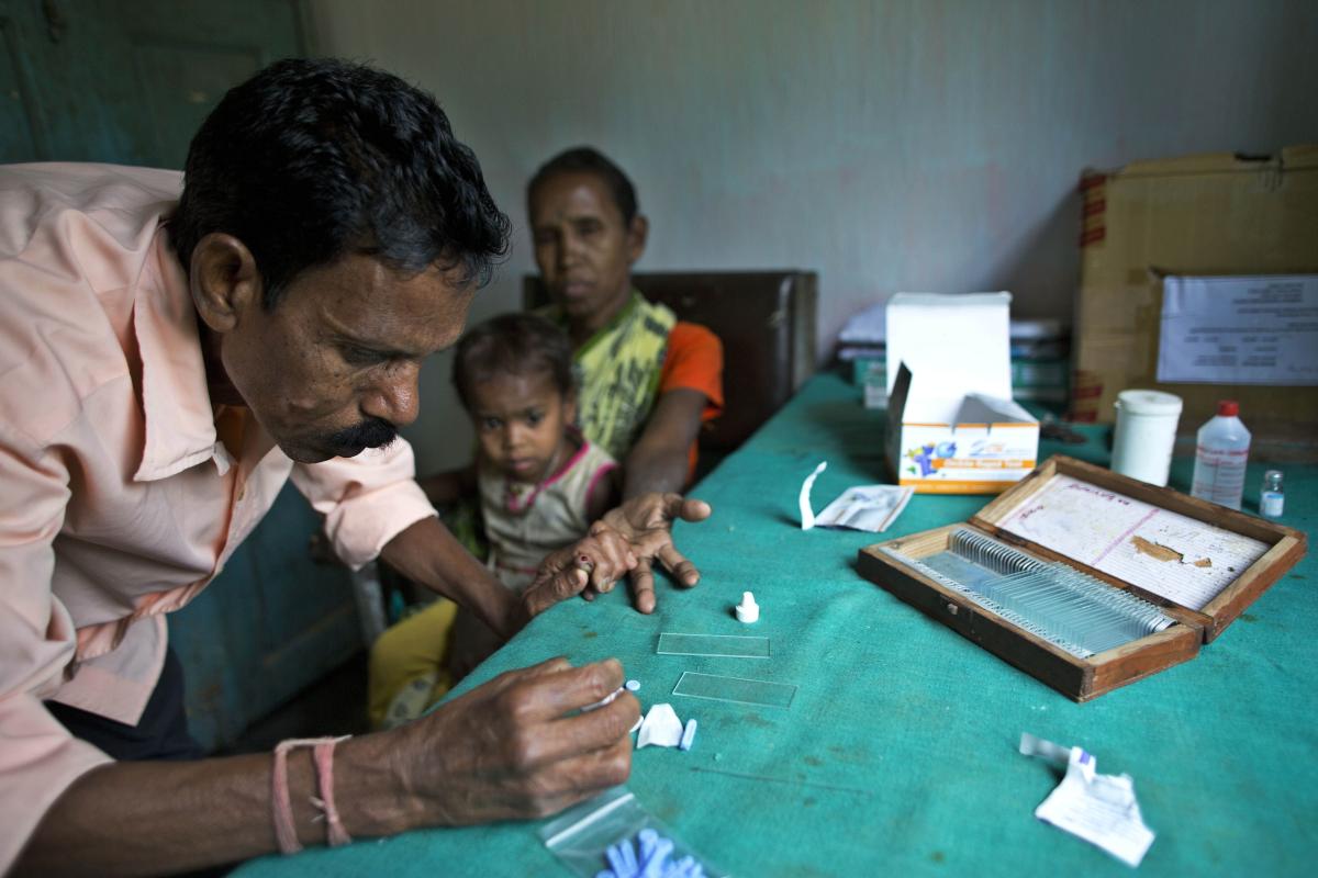 blood sample malaria