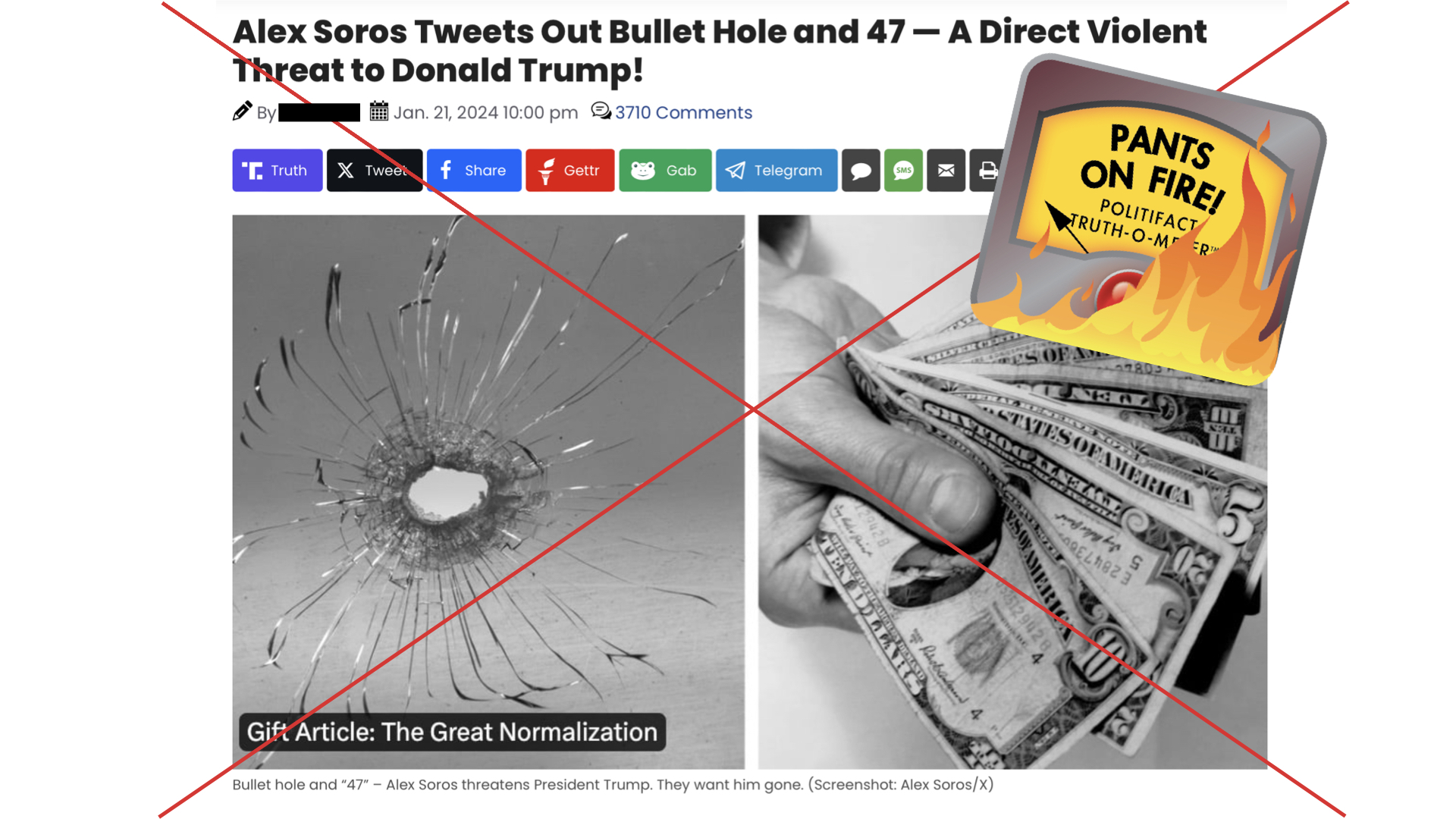 Gateway Pundit Article