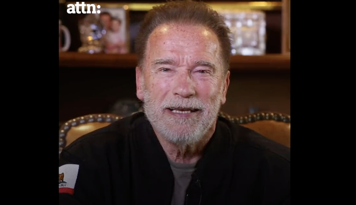 Arnold Schwarnegger more headlines art