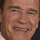 Arnold Schwarzenegger Photo