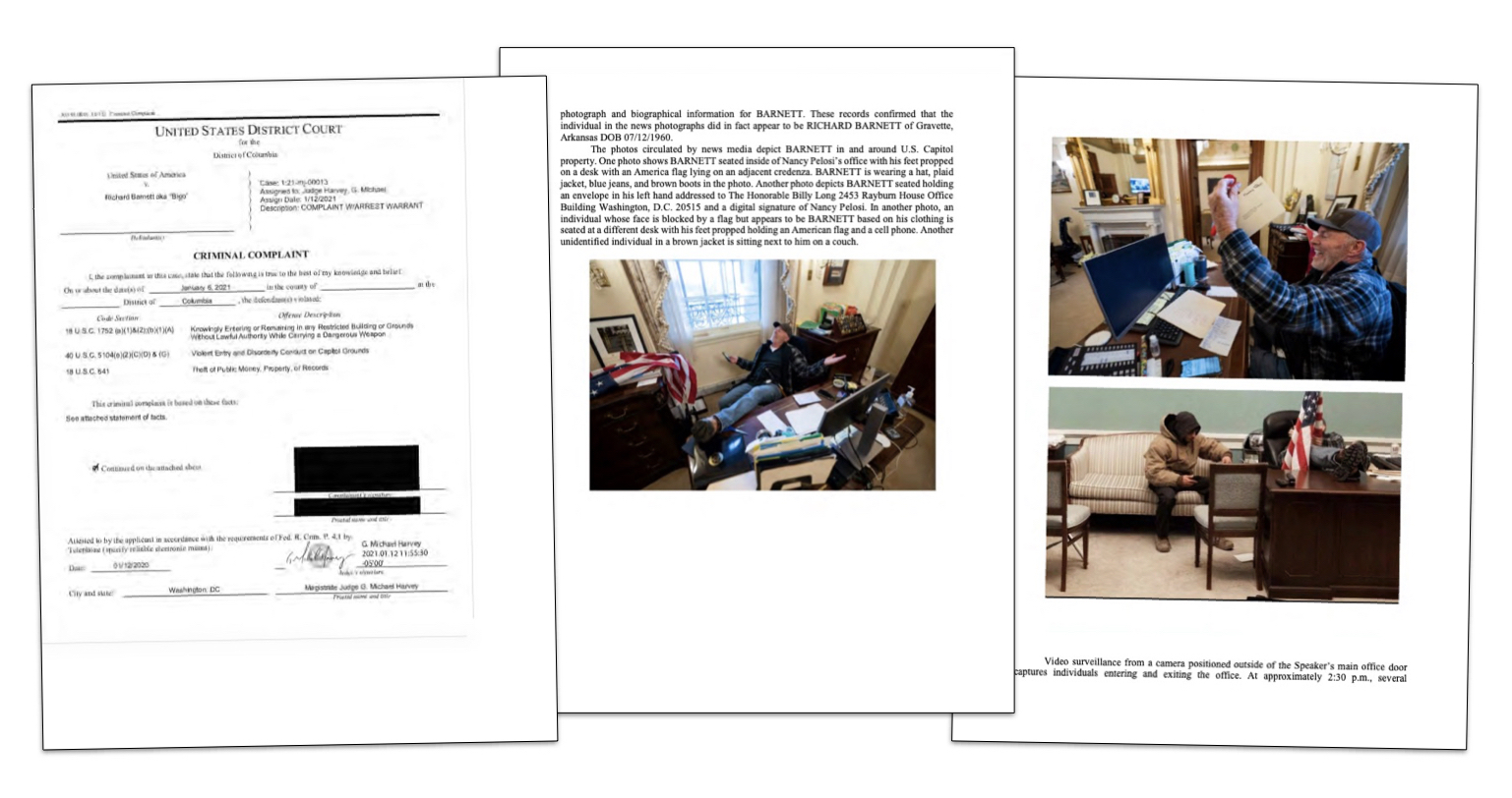 Richard Barnett court docs illustration for Patriot Purge wrap story