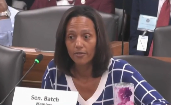 Batch Senate Hearing