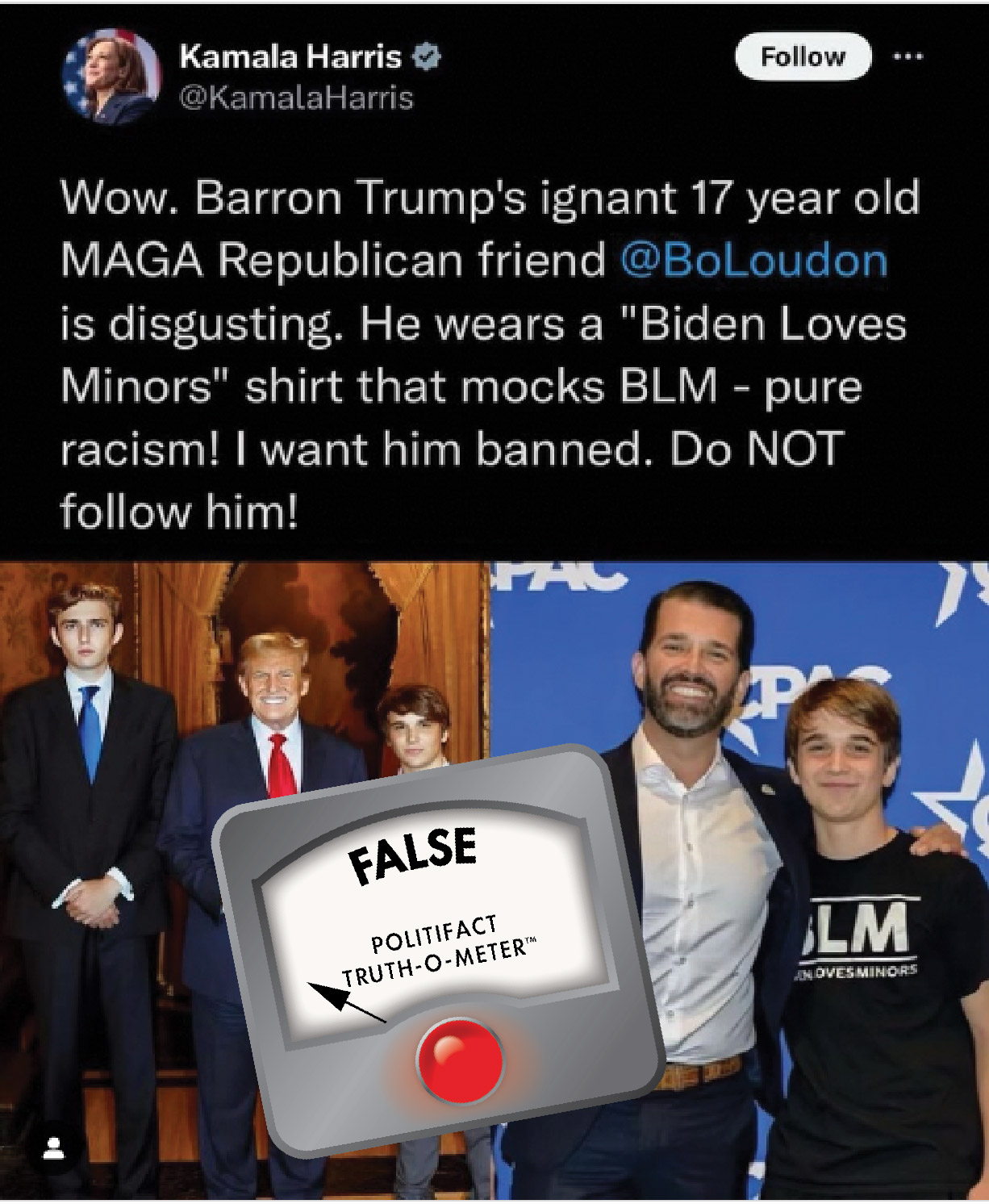 Fake Kamala Harris Tweet 8/14/24