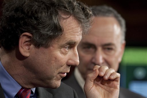 Brown and Schumer 2010