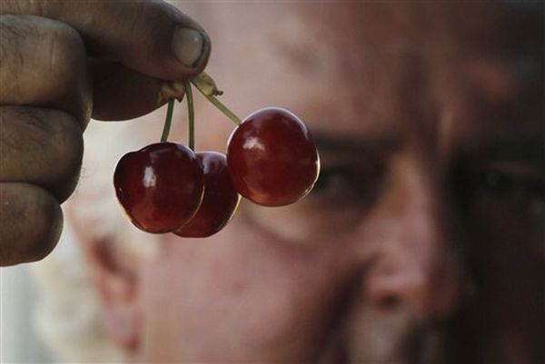 Cherry picking