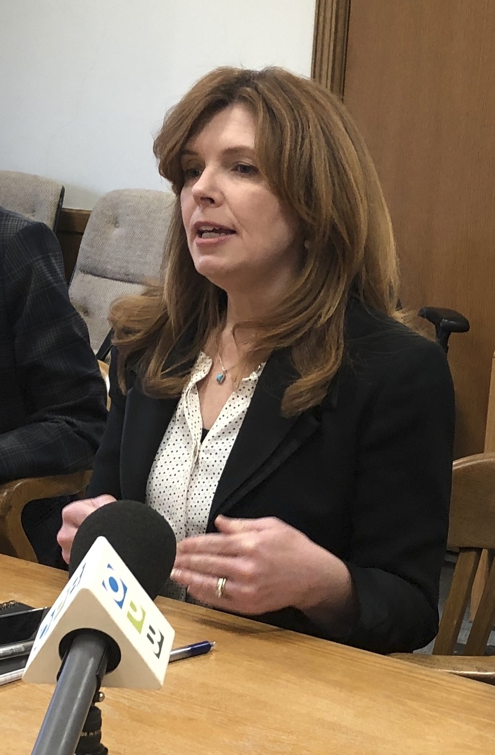 Christine Drazan Photo