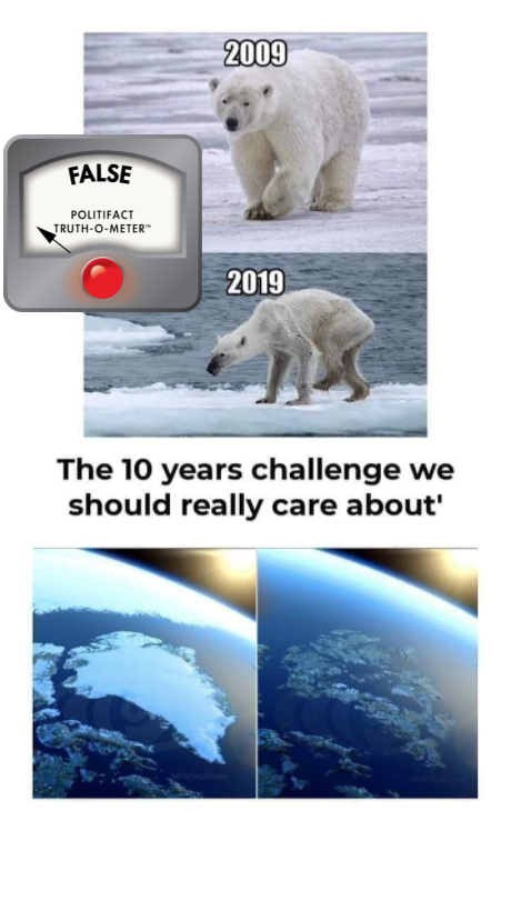10 years' challenge climate change false image