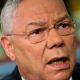 Colin Powell Photo