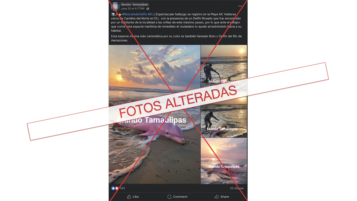 Grafico falso de delfín rosado