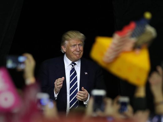 Donald Trump cheesehead foreground