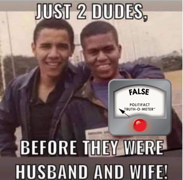 Fake Michelle Obama Picture