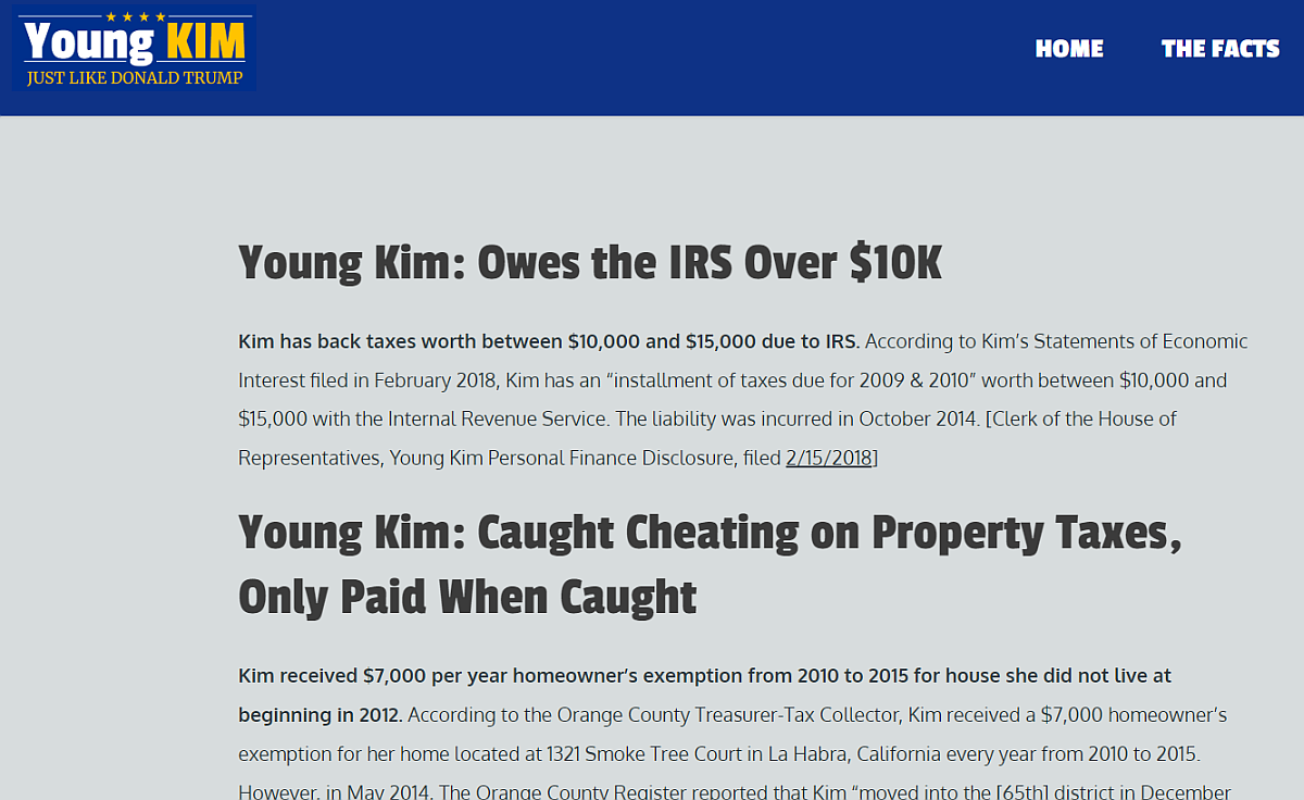 Fake Young Kim Website art on taxes