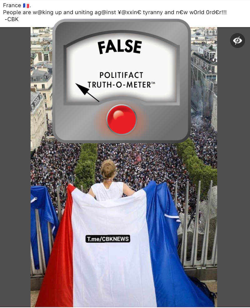 False french COVID-19 protest pic claim