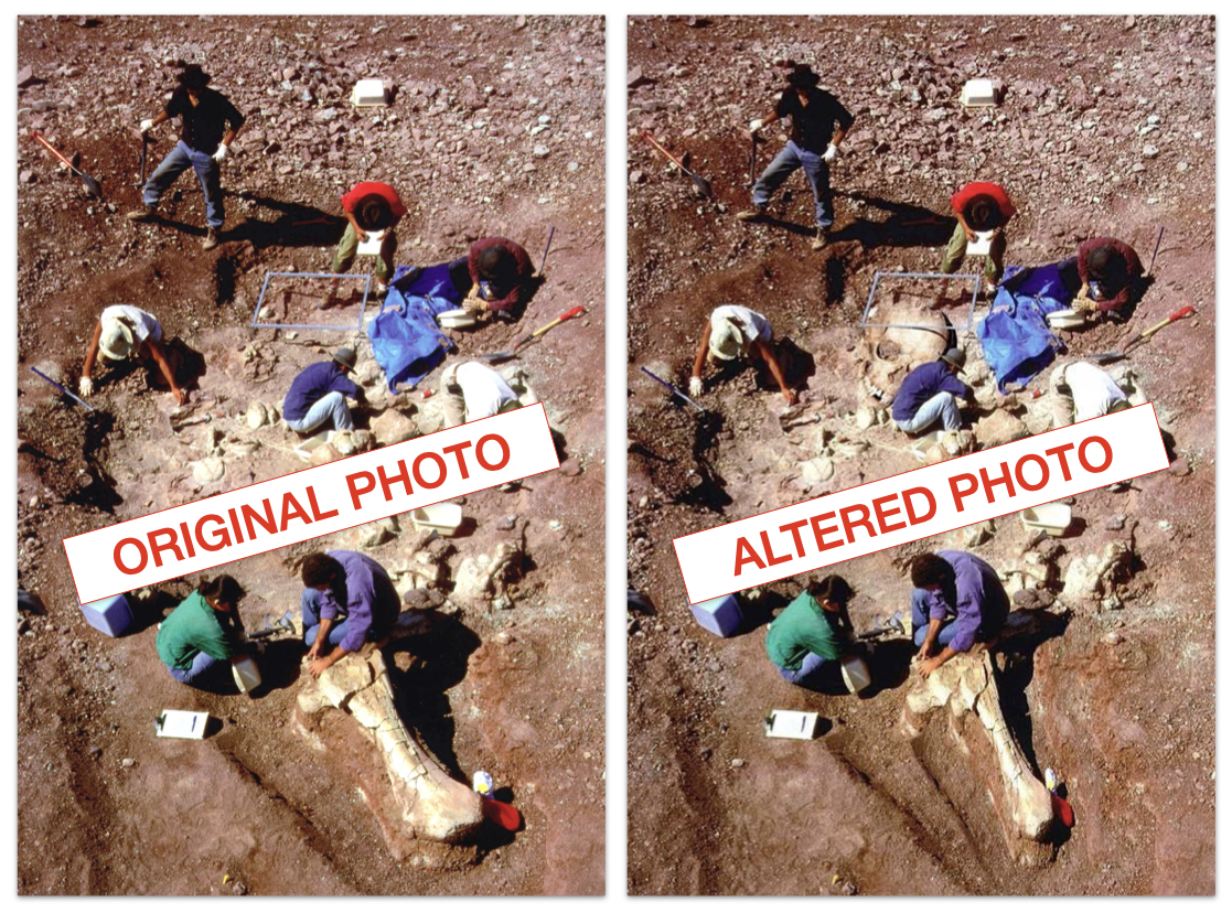 Giant skull edited photo