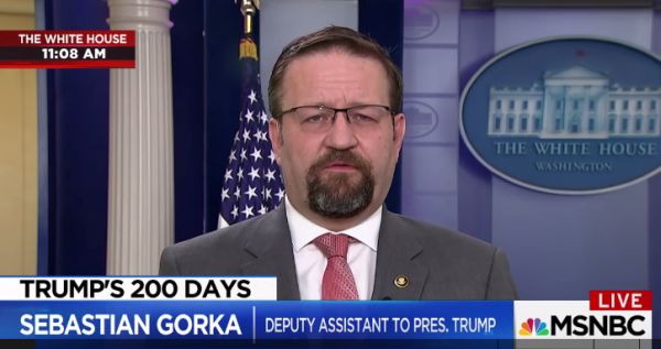 Gorka on MSNBC