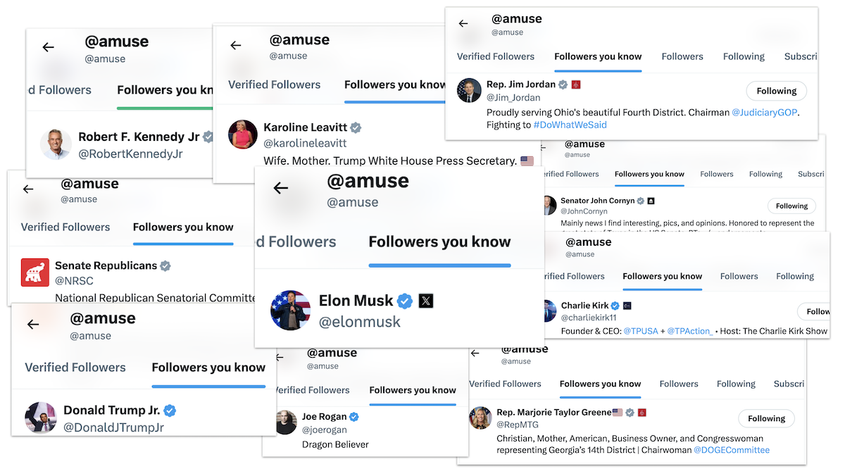 Graphic showing people who follow Amuse on X 02-21-2025