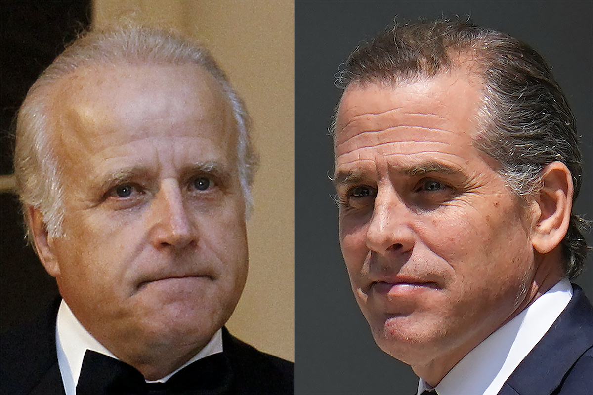 James Biden and Hunter Biden combo image AP