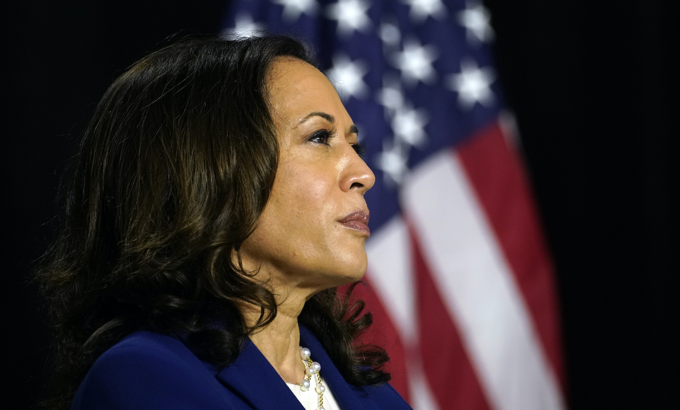 Kamala Harris in profile