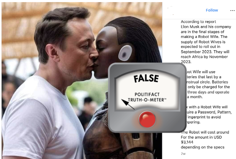 False Elon Musk robot wife embed image