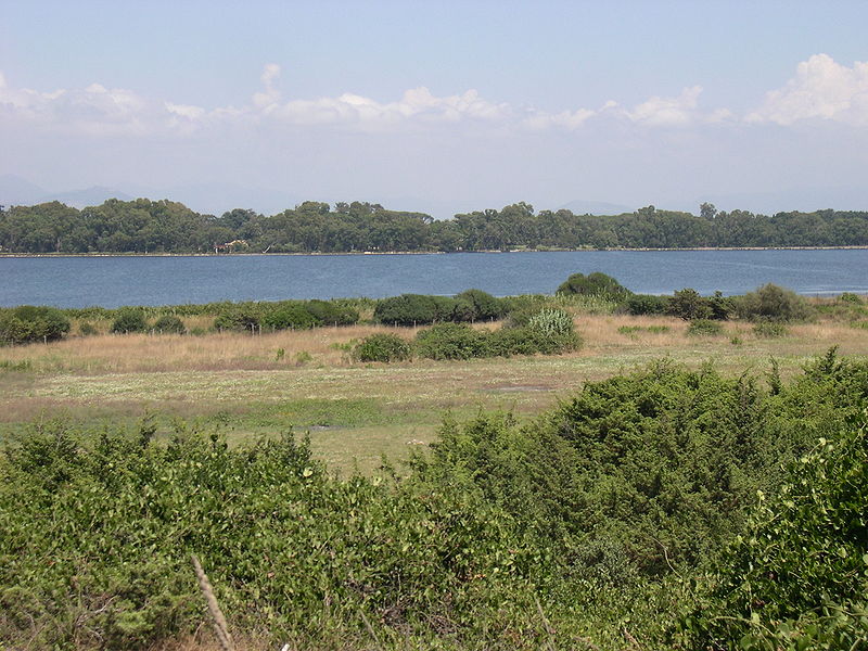 Pontine marshes