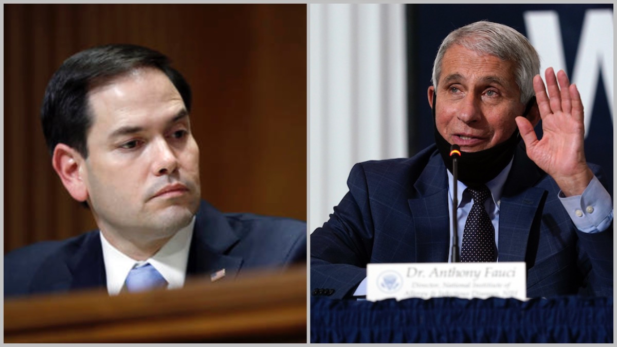 Rubio - Fauci composite